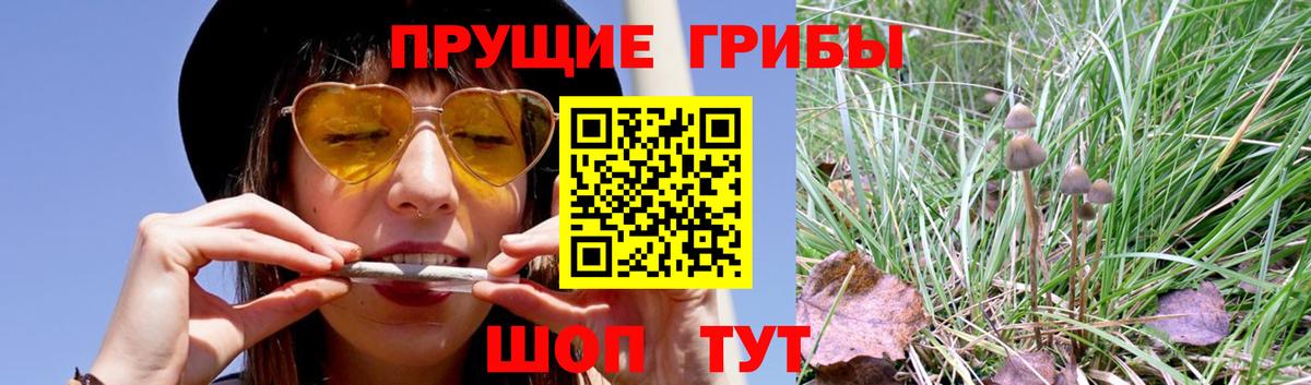 Артёмовский  Псилоцибиновые грибы мухоморы  купить наркоту  Вход с VPN 